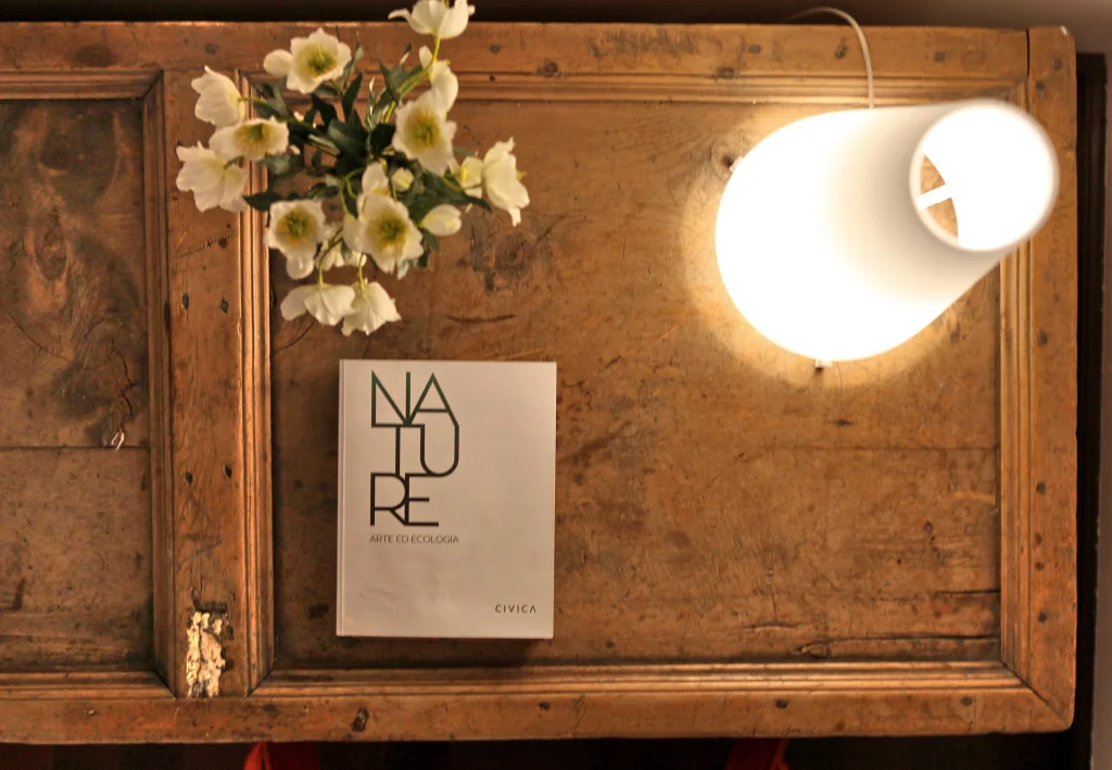 Cassettone antico con libro Nature, Hotel Accademia Trento