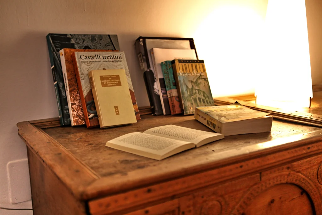 Cassettone con libri su Trento, Hotel Accademia