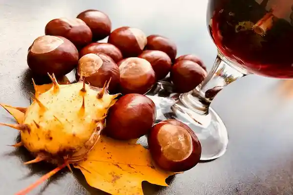 Trento in autunno castagne e vino Trentodoc